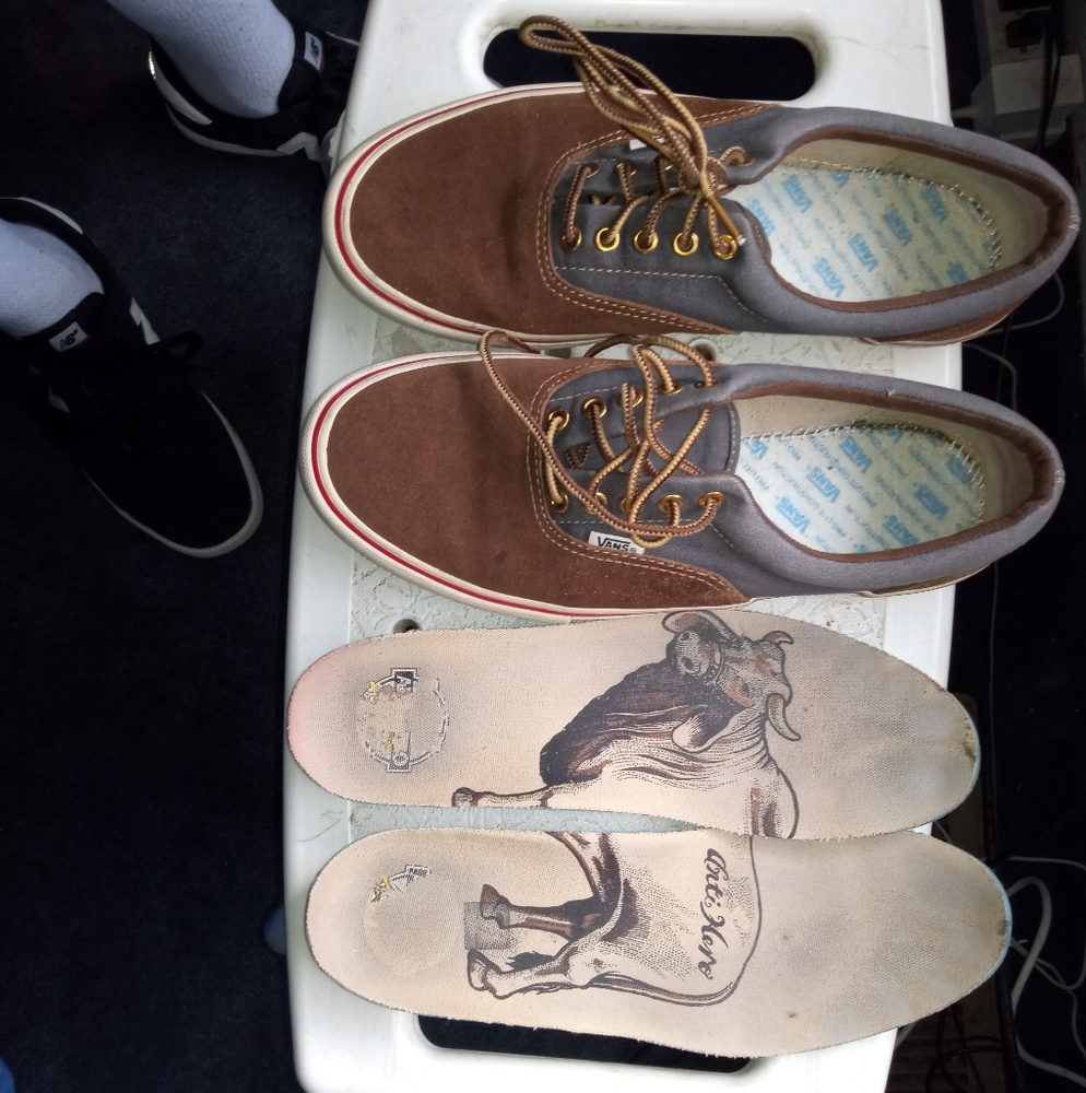 Vans anti hero era pro